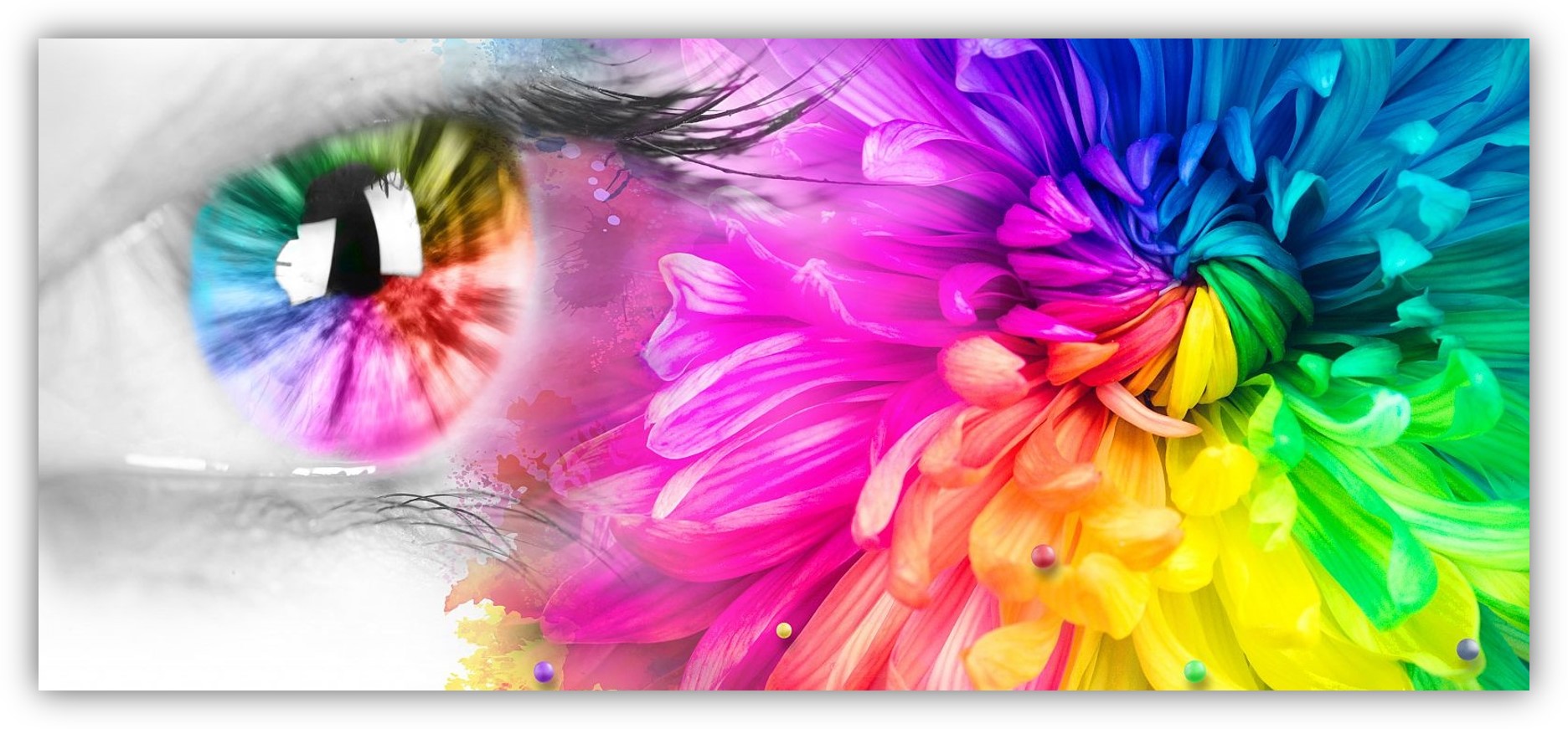 1681091432461155.jpg 圖片1.jpg